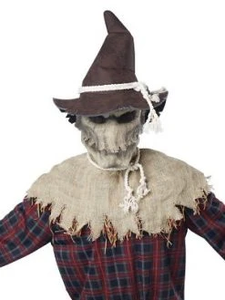Spirit Halloween Animotion Scarecrow Full Mask