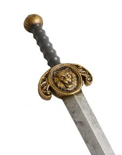 Spirit Halloween Lion Sword -HALLOWEEN COSTUMES Sales 01307545 c